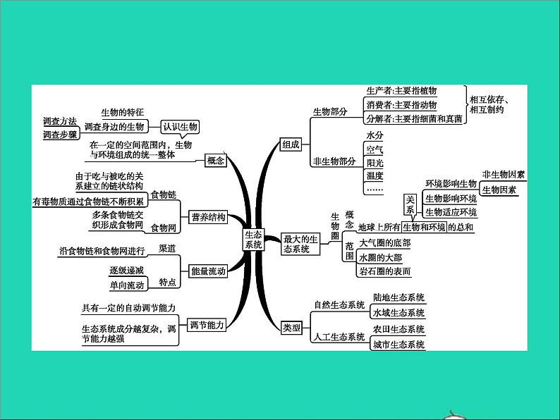 初中生物中考复习 中考生物总复习专题一生物和生物圈课件02