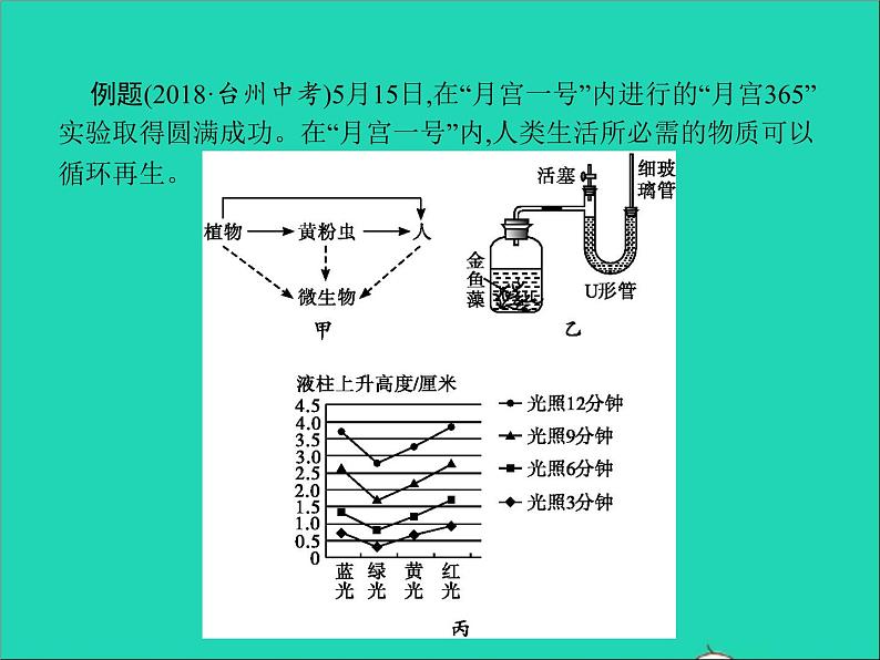 初中生物中考复习 中考生物总复习专题一生物和生物圈课件04