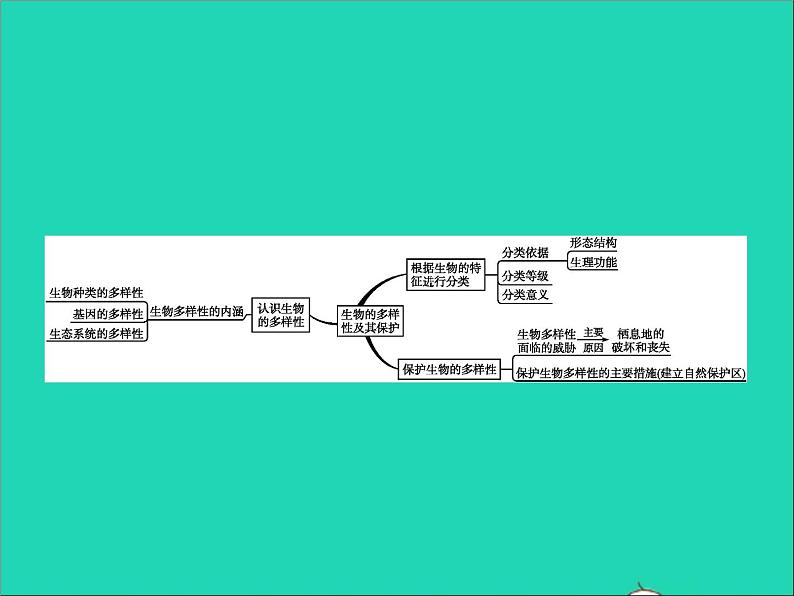 初中生物中考复习 中考生物总复习专题六生物的多样性及其保护课件02