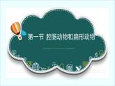 5.1.1腔肠动物和扁形动物课件2022-2023学年人教版八年级生物上册