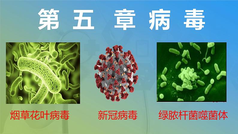 八年级上册第五章病毒课件PPT第1页