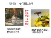 七年级上册生物第一节生物的特征课件PPT