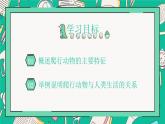 人教版八年级上册第五节两栖动物和爬行动物课件PPT