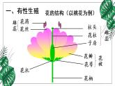 人教版八年级下册第一节植物的生殖课件PPT