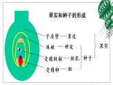 人教版八年级下册第一节植物的生殖课件PPT