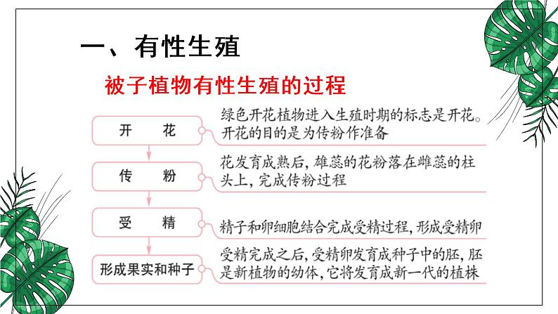 人教版八年级下册第一节植物的生殖课件PPT第7页