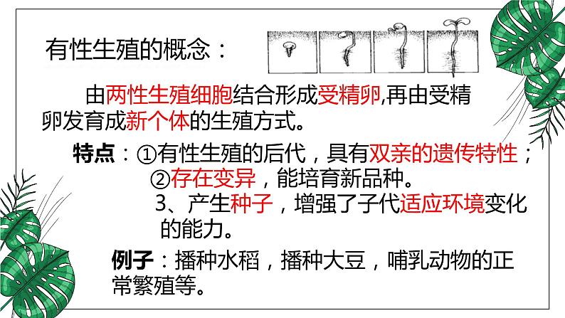 人教版八年级下册第一节植物的生殖课件PPT第8页