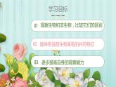 人教版七年级第一节生物的特征课件PPT