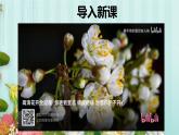 人教版七年级第一节生物的特征课件PPT