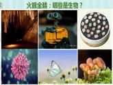 人教版七年级第一节生物的特征课件PPT
