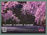 人教版七年级上册生物第一节生物的特征课件PPT