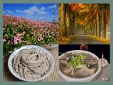 人教版七年级上册生物第一节生物的特征课件PPT