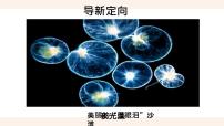 人教版 (新课标)七年级上册第四节 单细胞生物课堂教学课件ppt