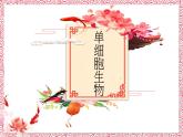 人教版七年级上册第四节单细胞生物课件PPT