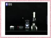 人教版七年级上册第四节单细胞生物课件PPT