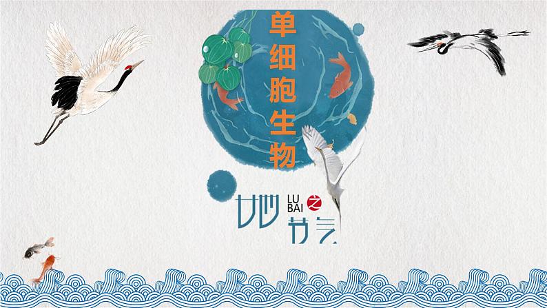 人教版七年级上册第四节单细胞生物课件PPT01