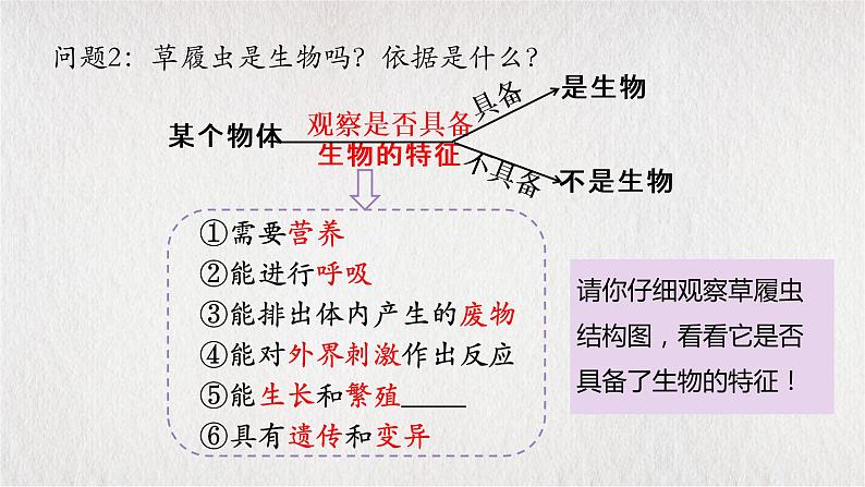 人教版七年级上册第四节单细胞生物课件PPT06