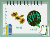 人教版七年级第四节单细胞生物课件PPT