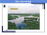 人教版七年级第四节单细胞生物课件PPT