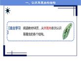 人教版七年级第四节单细胞生物课件PPT