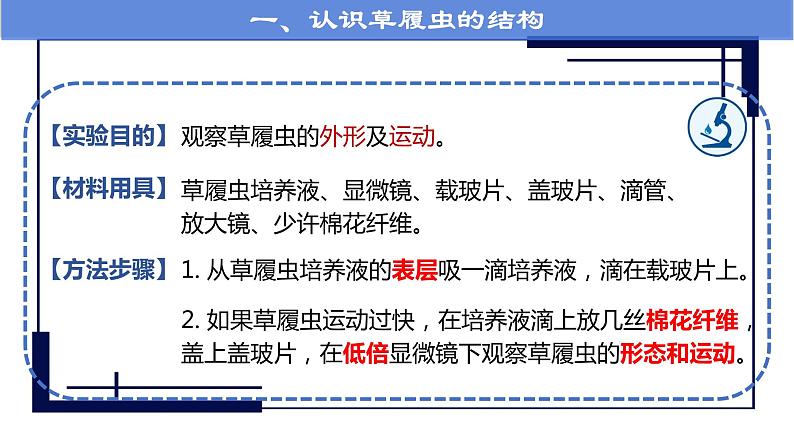 人教版七年级第四节单细胞生物课件PPT第6页