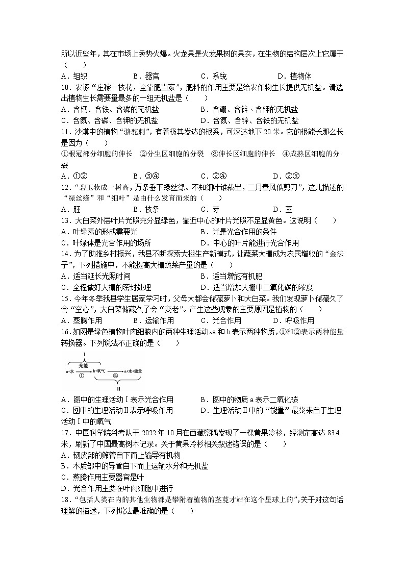 河南省洛阳市宜阳县2022-2023学年七年级上学期期末生物试题02