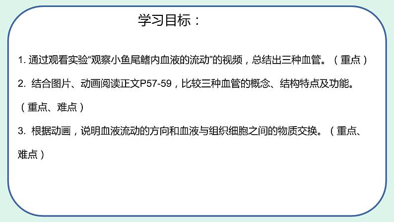 4.4.2 血流的管道——血管-初中生物七年级下册 课件+练习（人教版新课标）04