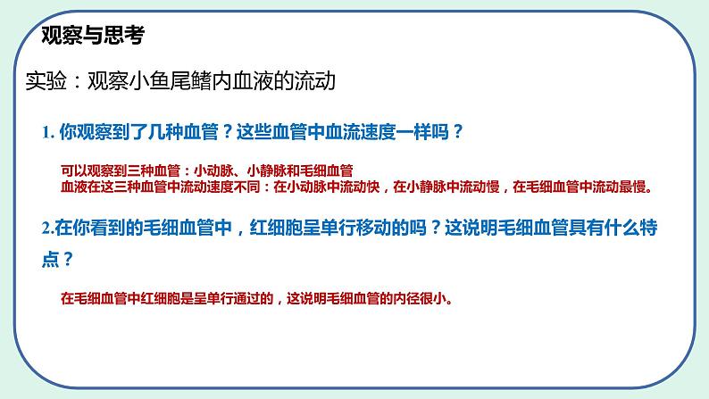 4.4.2 血流的管道——血管-初中生物七年级下册 课件+练习（人教版新课标）08