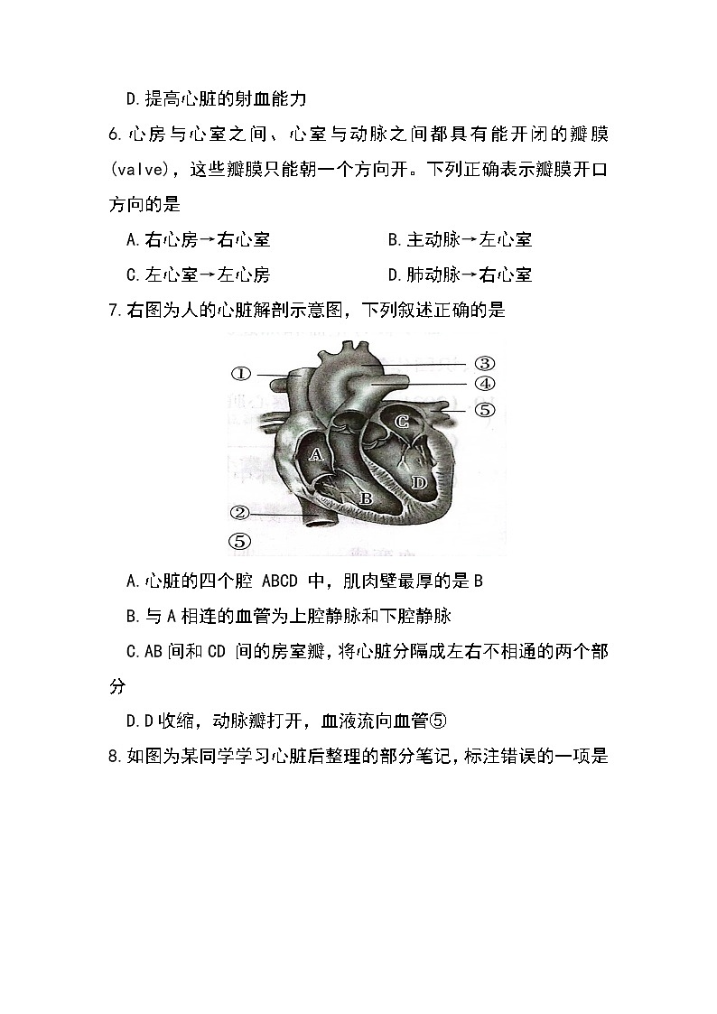 4.4.3 输送血液的泵——心脏-初中生物七年级下册 课件+练习（人教版新课标）02