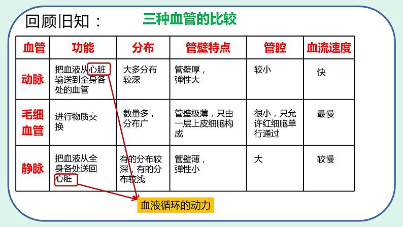4.4.3 输送血液的泵——心脏-初中生物七年级下册 课件+练习（人教版新课标）03