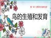 7.1.4 鸟的生殖和发育-课件（人教版）