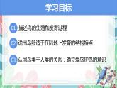 7.1.4 鸟的生殖和发育-课件（人教版）