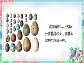 7.1.4 鸟的生殖和发育-课件（人教版）