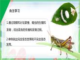 7.1.2 昆虫的生殖和发育-【备课精选】2022-2023学年八年级生物下册同步教学精品课件（人教版）