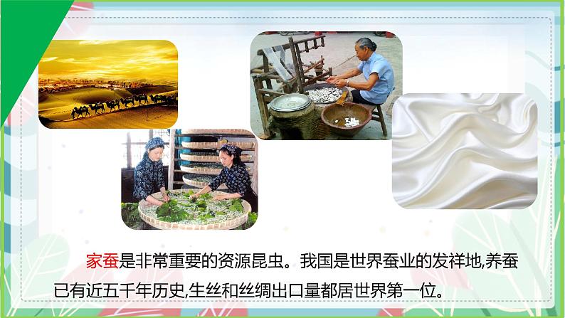 7.1.2 昆虫的生殖和发育-【备课精选】2022-2023学年八年级生物下册同步教学精品课件（人教版）第6页