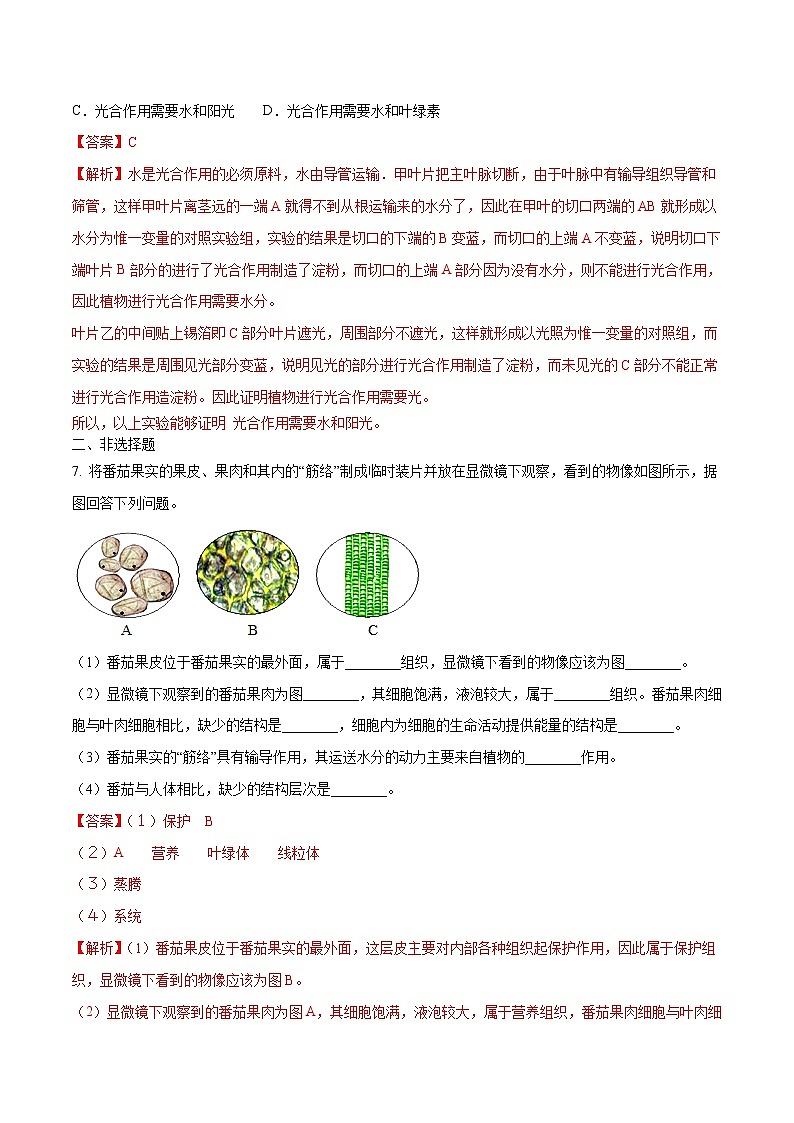 初中生物中考复习 专题0４ 绿色植物的蒸腾作用、光合作用和呼吸作用-2020年中考生物挑战压轴题（解析版）03