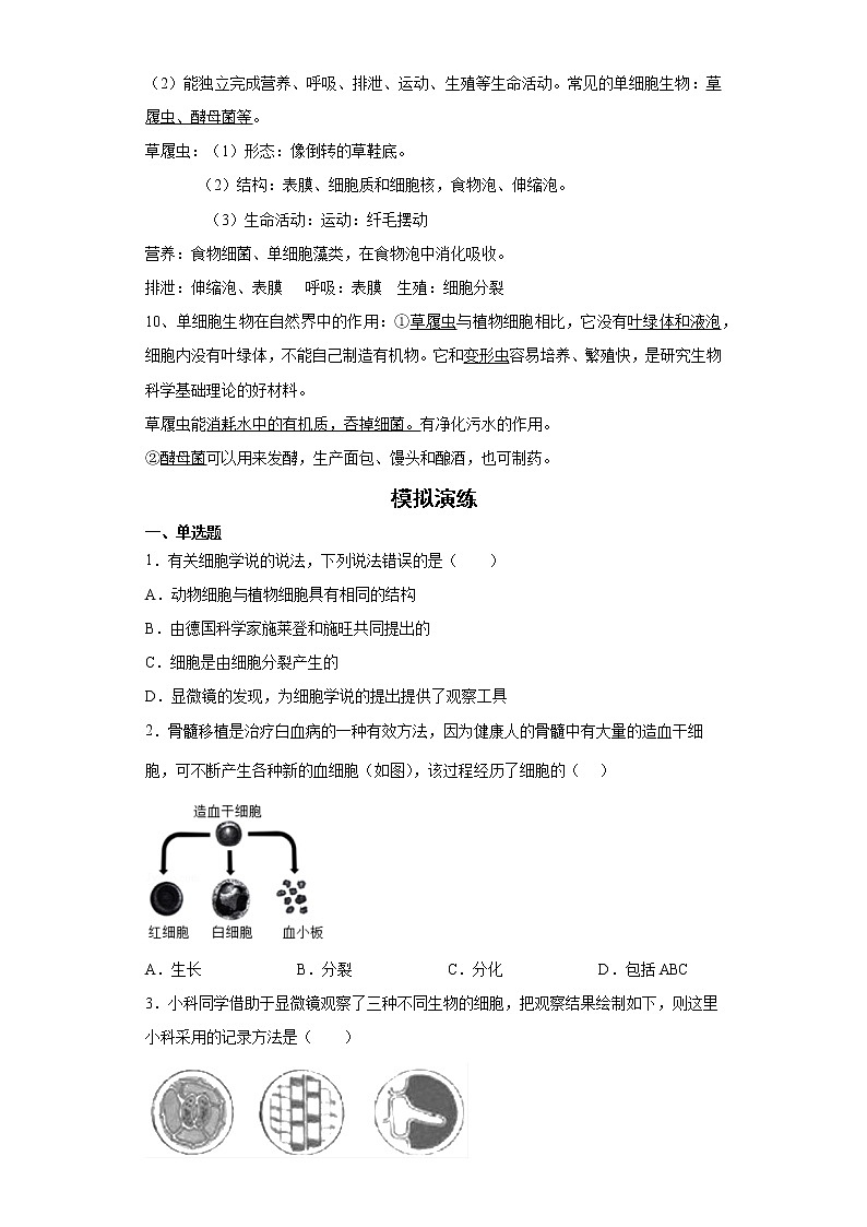 备战2023生物新中考二轮复习重难突破（浙江专用）专题01 生物体的结构层次03