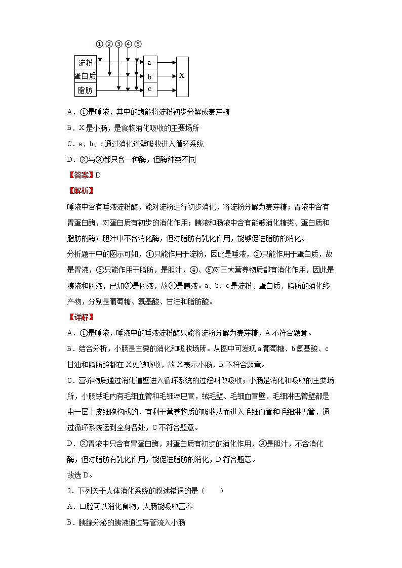 备战2023生物新中考二轮复习重难突破（浙江专用）专题02 生物体对营养物质的吸收03
