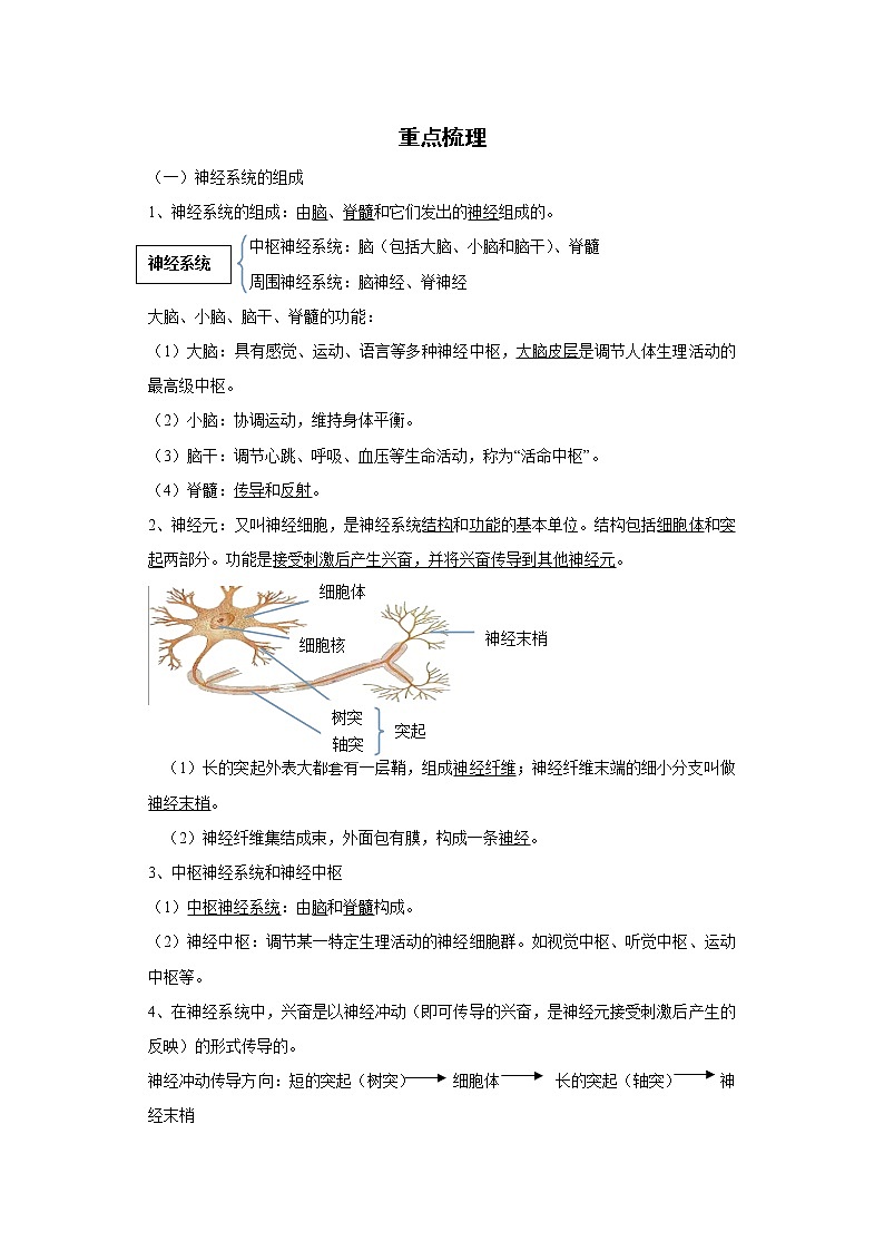 备战2023生物新中考二轮复习重难突破（浙江专用）专题06 人体生命活动的调节01