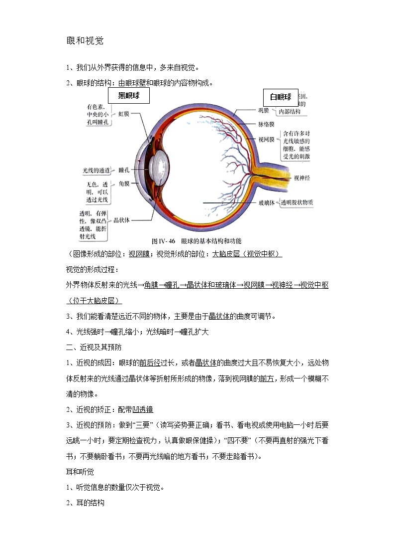 备战2023生物新中考二轮复习重难突破（浙江专用）专题06 人体生命活动的调节03