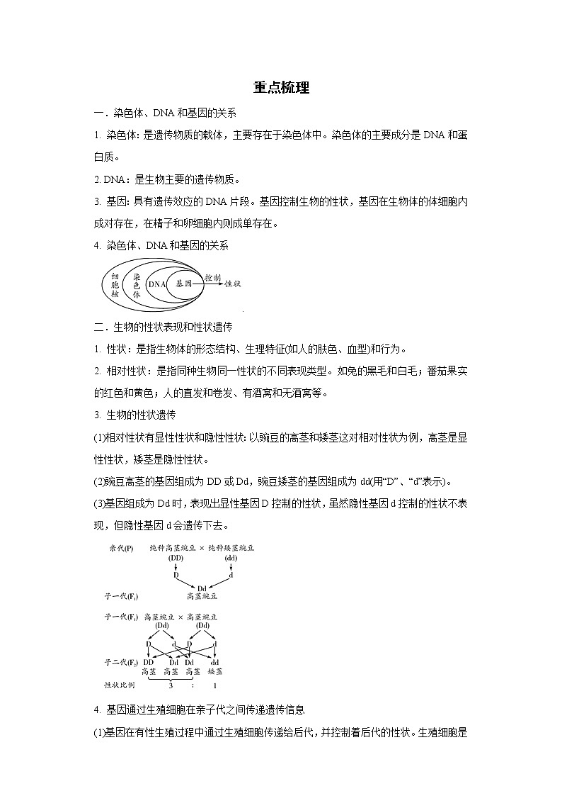 备战2023生物新中考二轮复习重难突破（浙江专用）专题08 生物的遗传、变异和进化（解析版）第1页
