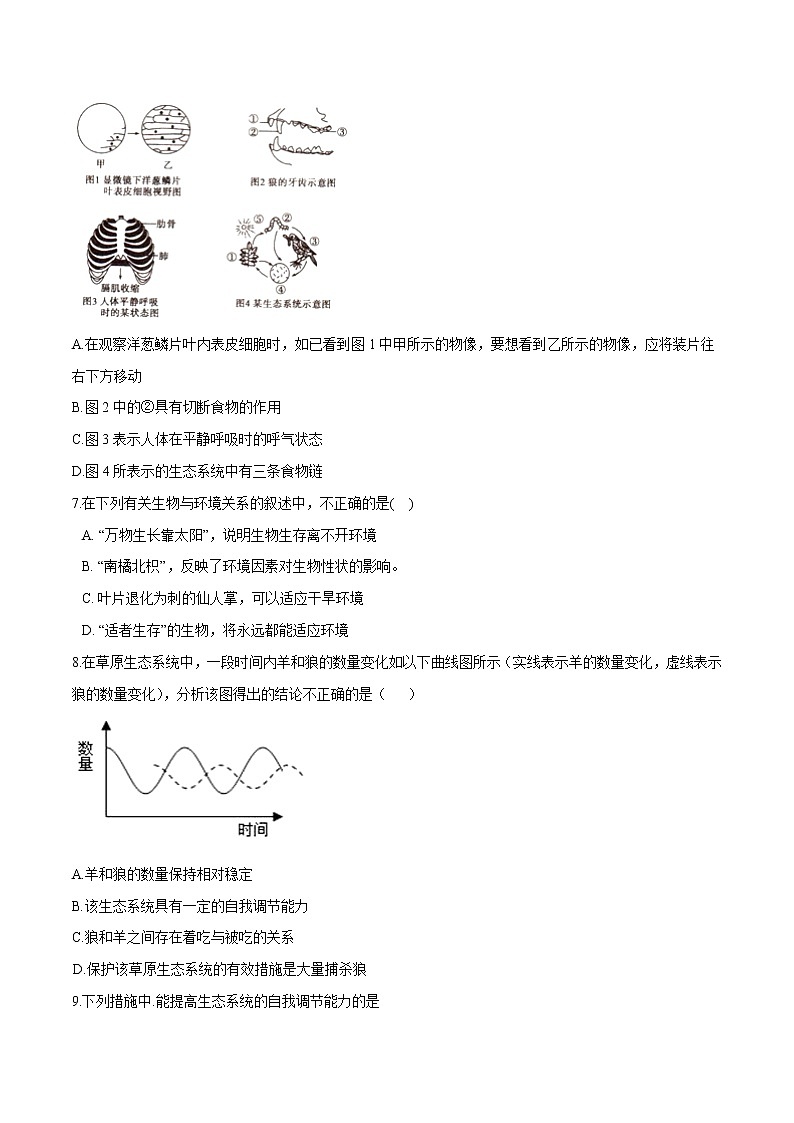 初中生物中考复习 专题01 生物和生物圈-冲刺2020年中考生物易错点集中专项训练（原卷版）第2页