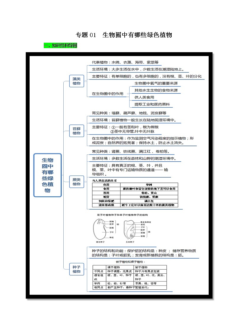初中生物中考复习 专题01 生物圈中有哪些绿色植物（解析版）第1页