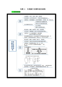 初中生物中考复习 专题01 生物圈中有哪些绿色植物（原卷版）