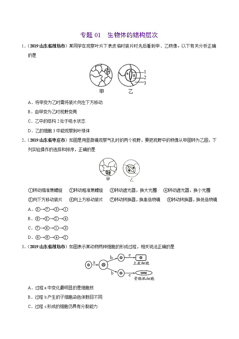 初中生物中考复习 专题01 生物体的结构层次（第01期）-2019年中考真题生物试题分项汇编（原卷版）01
