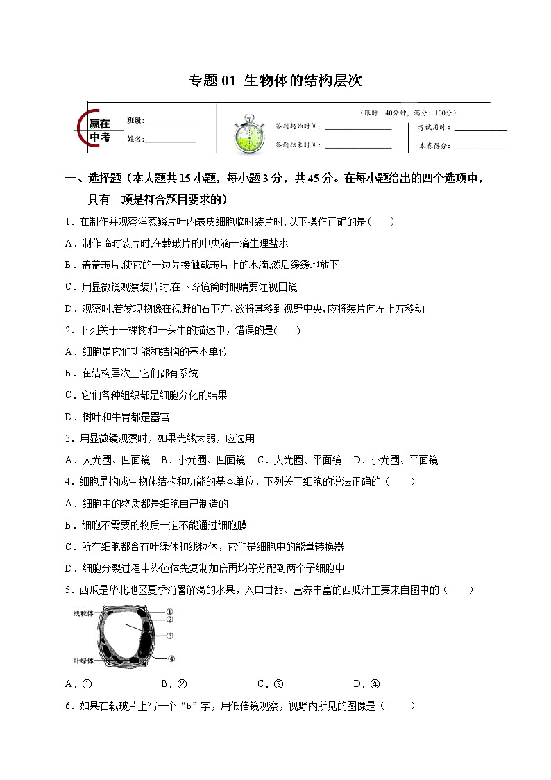 初中生物中考复习 专题01 生物体的结构层次-2020年中考冲刺专题卷（原卷版）第1页