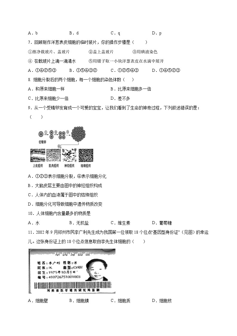 初中生物中考复习 专题01 生物体的结构层次-2020年中考冲刺专题卷（原卷版）第2页