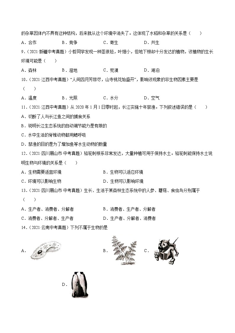 初中生物中考复习 专题01 生物与环境-2021年中考生物真题分项汇编（全国通用）（第1期）（原卷版）03