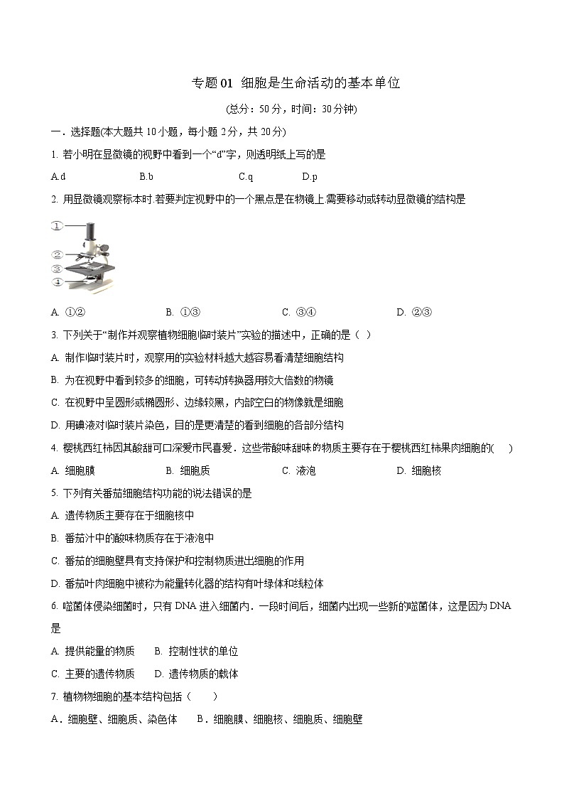 初中生物中考复习 专题01 细胞是生命活动的基本单位（原卷版）第1页
