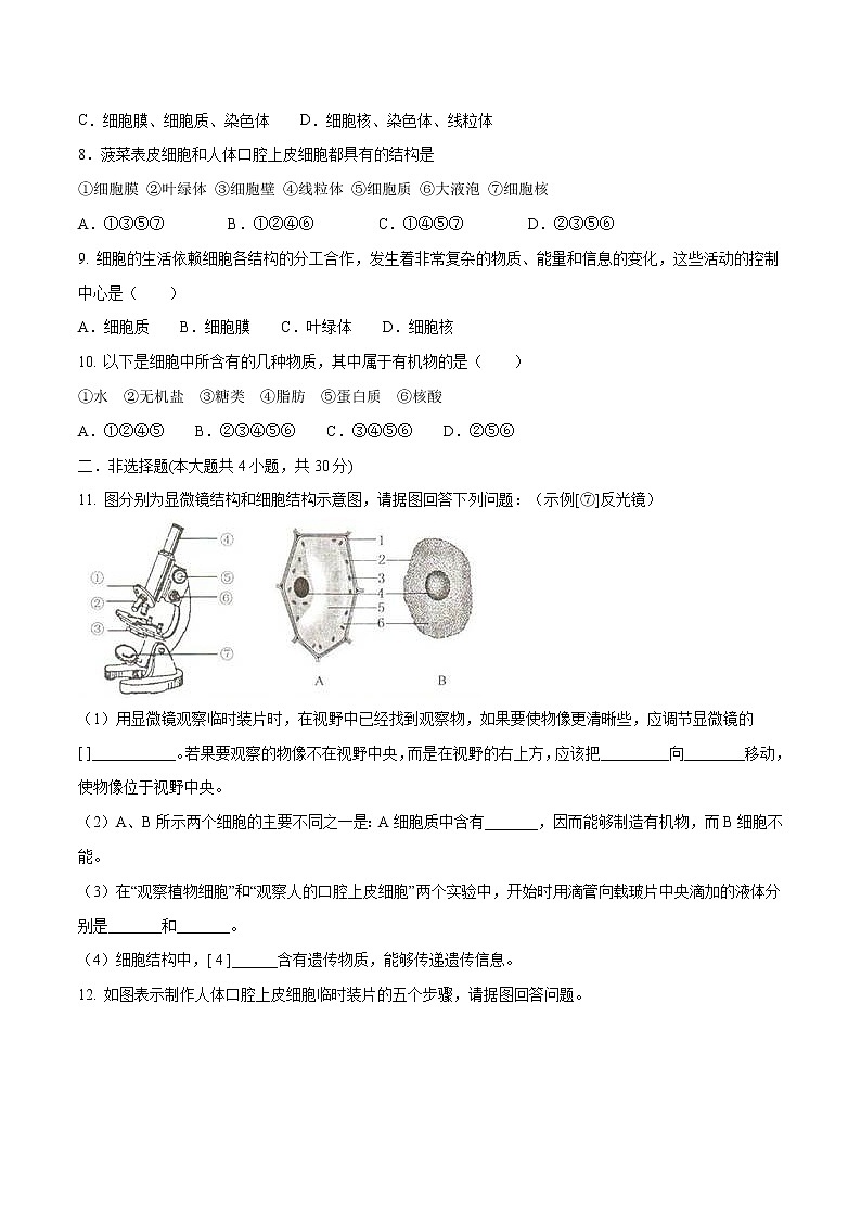 初中生物中考复习 专题01 细胞是生命活动的基本单位（原卷版）第2页